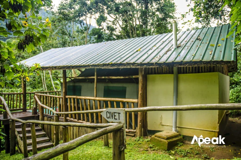 The lodging tents at Buhoma Rest Camp in Bwindi Impenetrable forest. Photo by Watsemba Miriam.